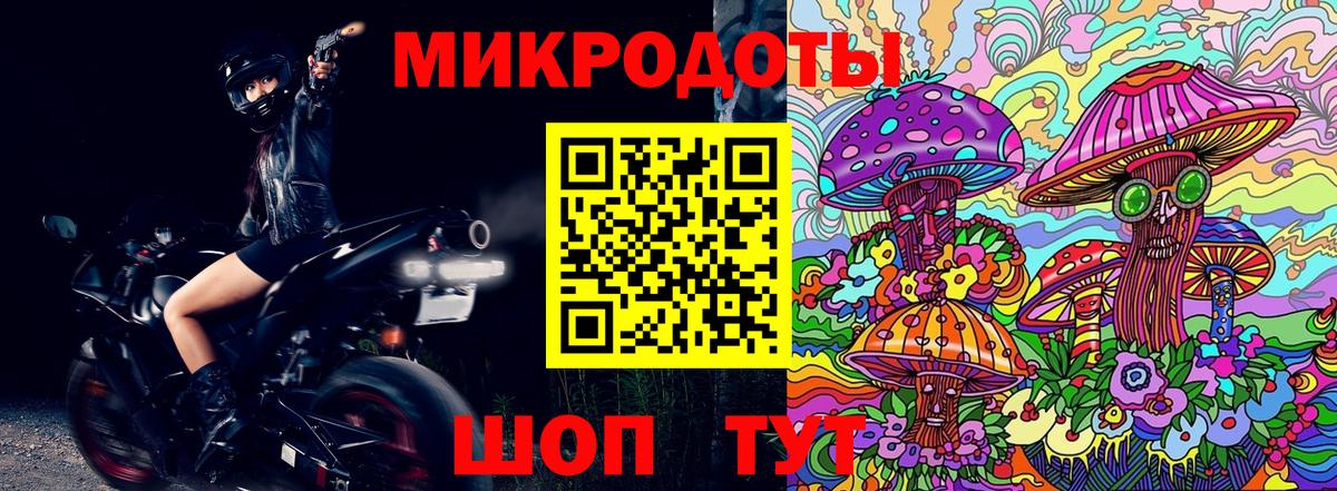 Псилоцибиновые грибы Cubensis  Вход с VPN  Псилоцибиновые грибы GOLDEN TEACHER  Кириши 