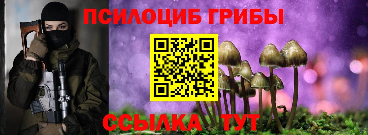 Псилоцибиновые грибы MAGIC MUSHROOMS Кириши